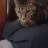 Egor